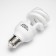 Terrarium lamp