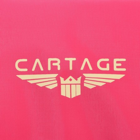 Thermal Surge Cartage T-22, pink, 10 l, 26x19x19 cm-4