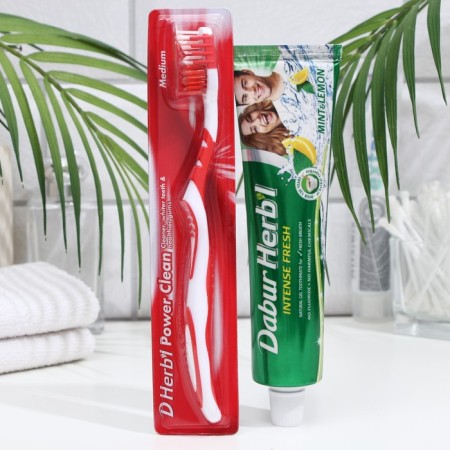 Dabur Herb’l Set: Gel Dentor Refuielding with Mint and Lemon, 150 g + Toothbrush-8