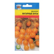 Fizalis seeds 