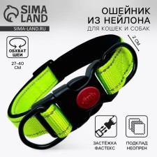 A collar with a nylon lining with fastx 2 cm, a green