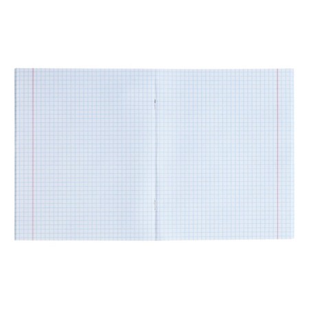 Subject notebook Calligrata Top "School style", 48 sheets in a cell biology, with reference material, plastic cover, offset unit-3
