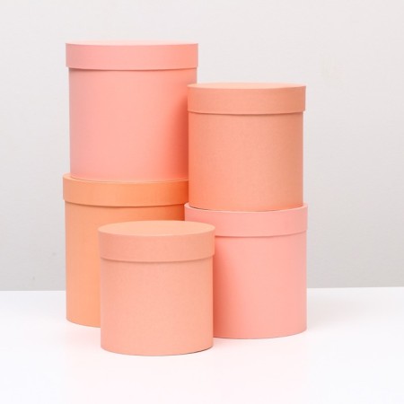Set of round boxes 5 in 1 "paints", peach, 25 x 25 x 25 - 19 x 19 x 19 cm-6