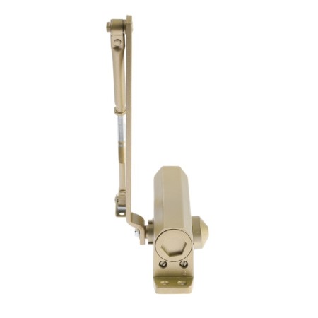 D80gp door tundra argument, up to 80 kg, color gold-3