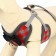 AMUNICE COMMUNICAL with soft harness, L, leash 120 x 1.5 cm, Osh 30-50 cm, OG 36-56 cm, red 473