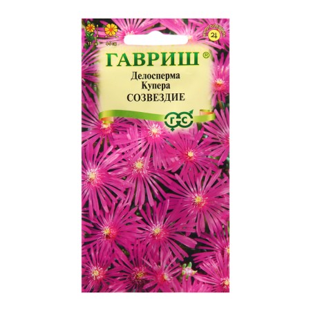 Seeds of Delosper "Constellation", 7 pcs.