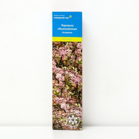 Cheremukha ordinary (series North Garden) "Colorata", 1 pc, tube, spring 2025