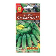 Cucumber seeds 