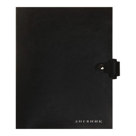 Universal diary for grades 1-11 Favorite, integrated artificial leather cover on the button, embossing foil, liesse, 48 sheets-7