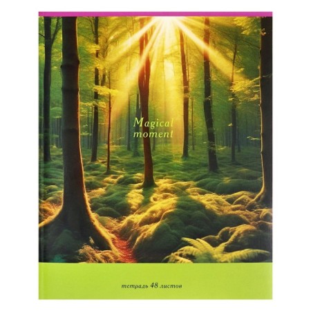 Notebook of 48 sheets in the cage "Nature", cover coated cardboard, block No. 2 (gray sheets), mix-2