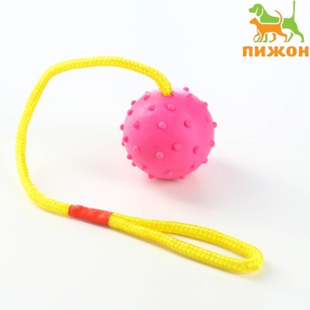 Toy ball on a rope, 6 cm, pink