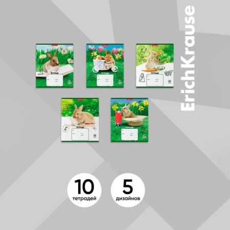 Notebook 12 sheets, cage, erichkrause, rabbits, mix-10