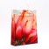 Package "Fiery Tulips", soft plastic, 42 x 32 cm