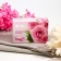 Toilet soap "Nature of Agiva" with rose petals, 75 grams