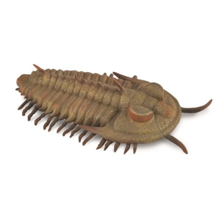 Figure "Sea animal is trilled", l