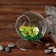 Florarium "Switz" Sphere, 14x11 cm, d = 7.7 cm