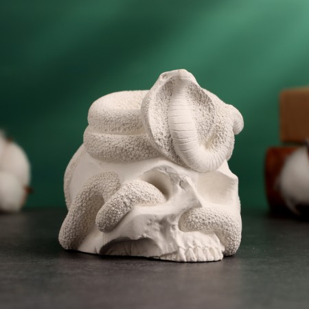 Squint "Snake on the Skull" 9x8x8cm-2