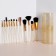 A set of makeup brushes, 12 objects, case, color mix