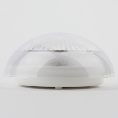 Lamp ERA NBP 06-60-001, E27, 60W, 220x220x105 mm, IP54-4