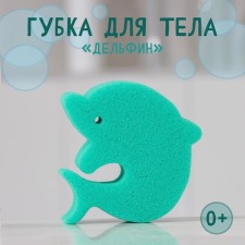 Body sponge 
