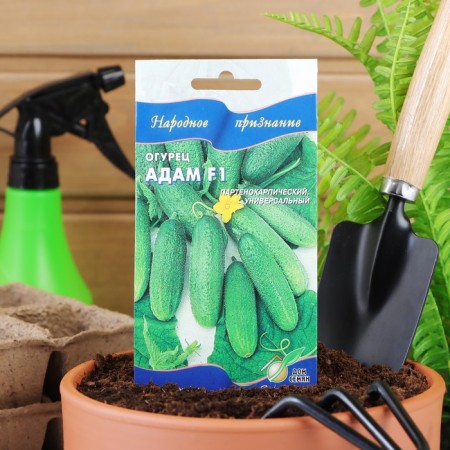 Cucumber seeds "Adam", F1, 6 pcs.-4