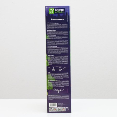 Grape seedling Aleshenkin, spring 2024, 1 pc.-1