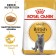 Dry food RC British Shorthair for British cats, 2 kg