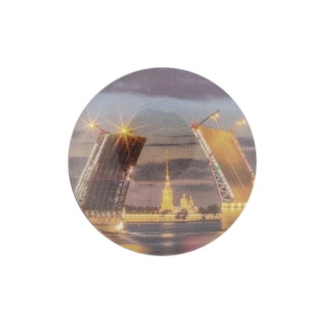 Magnetic needle "Palace Bridge", size 25x3 mm-1