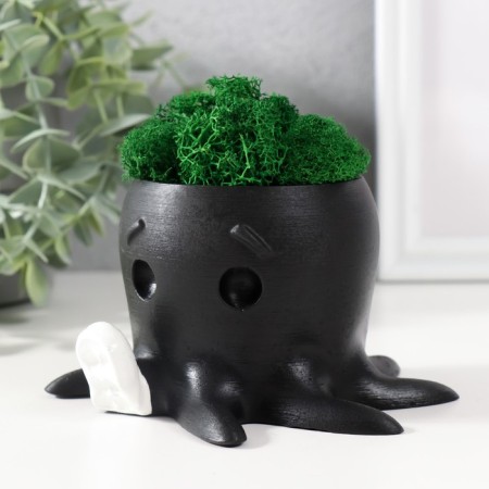 Concrete Kashpo "Osminog" height 7 cm, d-6.5 cm black with a white paw with moss (moss green, stub)-3
