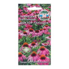 Echinacea Seeds 