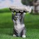 Garden figure "Gray hare with a feeder on the head" 15x13x24cm