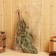 A broom for a bath eucalyptus, in a package