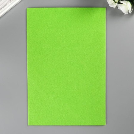 VETR "Blitz" 2.2 mm, hard 20x30 cm ± 2 cm (set 5 pcs) Assorted No. 3-1