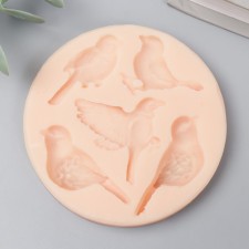 Mold Silicon 