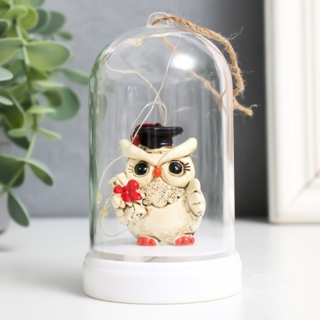 Souvenir Polystone Light "Scientific Filin" mix 5.8x5.8x10.5 cm-2