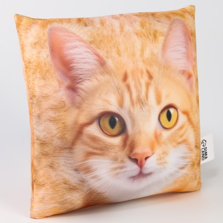 Antistress pillow "Ryzhik"-3