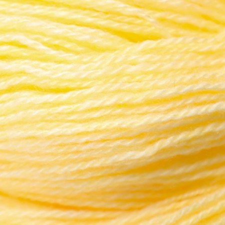 Yarn "Karachaevskaya" 100% acrylic 820-850m/250-280g (24 champagne)-2
