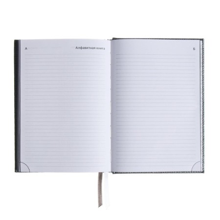 Dated diary 2024 A5 176 sheets, Devente.gold rush, firm cover of artificial leather, liesse, white block 70 g/m2, Gray-10