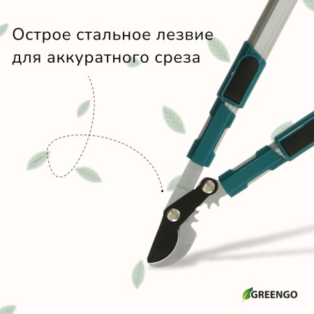 Buscores Professional, 26.4−37 "(67.5−94 cm), telescopic, with plastic pens, mix, Greengo-3