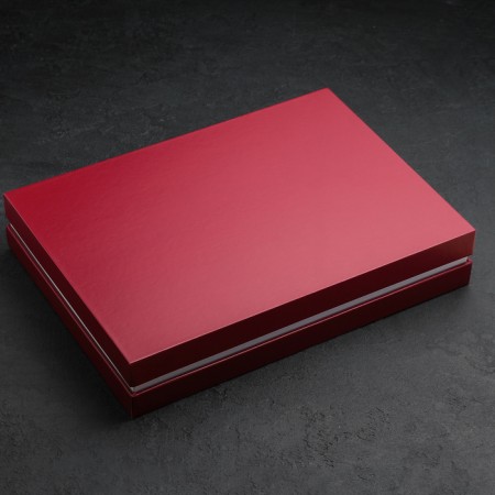 A set of Astra cutlery, 24 items, a thickness of 2.5 mm, a decorative box-3