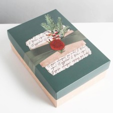 Folding “Parcel” box, 30 x 20 x 9 cm, new year
