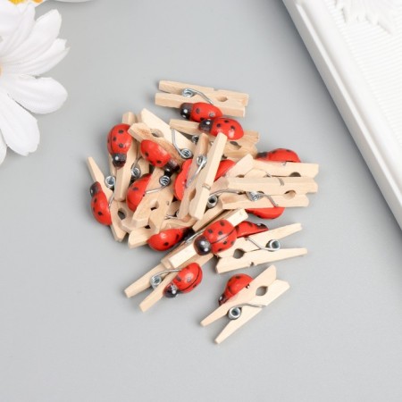 Decor for creativity wood "clothespin with God's cow" set of 15 pcs 1.5x1 cm