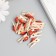 Decor for creativity wood "clothespin with God's cow" set of 15 pcs 1.5x1 cm