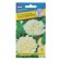 Flower seeds Pionovidal terry "cream", o, 0.1 g