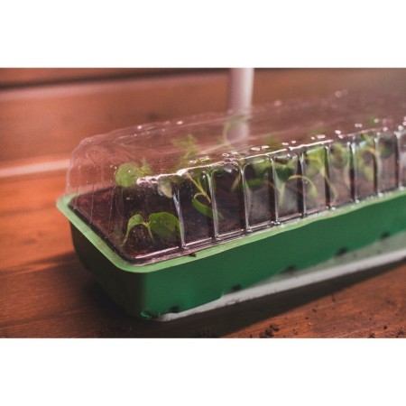 Mini-Pirate for seedlings, 57 × 18 × 14.5 cm, 3 inserts, 18 cells, Greengo-8