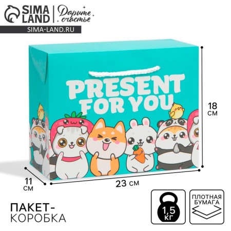 Package - gift, gift packaging, "Present", 23 x 18 x 11 cm