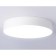 LED ceiling LED Ambrella Orbital Air Alum FV5528, 45W, LED, white color