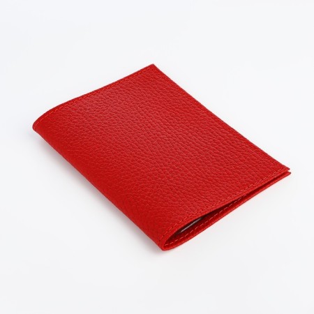 Cover for passport, red color-1