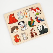 Developing board 