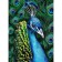 Diamond mosaic with full filling on the canvas "Pavlin", 15 x 21 cm
